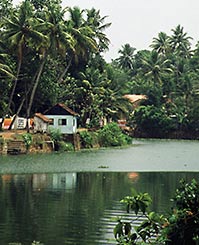 kerala backwater